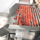NFC Fresh Tomato Paste Processing Equipment 380V 50Hz