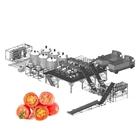 Small scale tomato paste processing line Tomato Processing Plant and Manufacturer