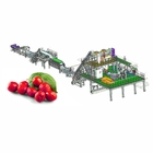 Automatic Fruit Juice Processing Line For Date Juice Making 380V