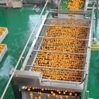 SUS316 Industrial Fruit Juice Processing Line Automatic Citrus Jam Making Machine