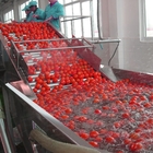 220V Bubble Tomato Washing Machine For Vegetable Fruit Processing