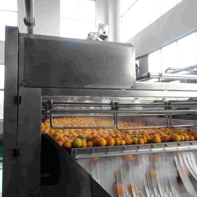 Tomato Vegetable Cleaning Machine Automatic Industrial Fruit Washing Equipment