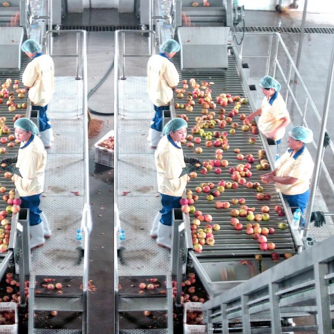 Peach processing，Plum processing，Apricot processing
