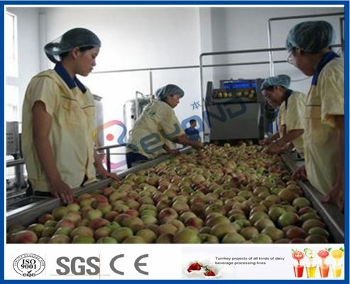 Linha de produção maquinaria do suco de fruto do pêssego/abricó/ameixa da trasformação de frutos