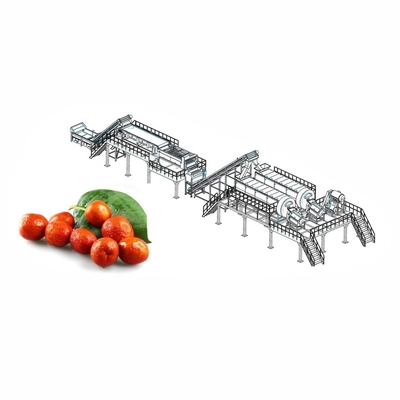 Romã industrial Juice Production Line 2 - 50T/H romã Juice Making Equipment