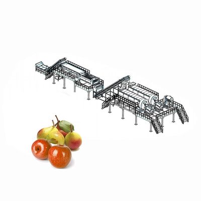 Equipamento de classificação de levantamento da trasformação de frutos de Apple para classificar