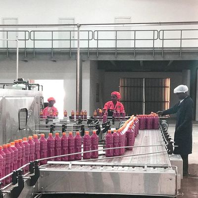 Linha de processamento automática do tomate SUS304 para a fatura da pasta de tomate